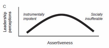 Leadership Perceptions