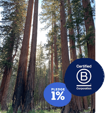 Photo of a forest with B Corp Certification emblem in corner